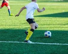 广西揭示全,新极度濒危,物种,BG真人视讯,BG真人,(Sports),BG视讯官网,BG真人官方平台