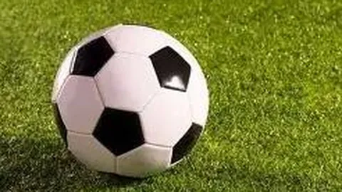 BG视讯官网 资讯 105359 pwk