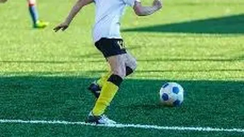 广西揭示全新极度濒危物种——全州报春苣苔