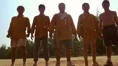 深圳探险之旅：漫步“银白栈道”尽赏自然风光，揭秘8条最美步道打卡指南